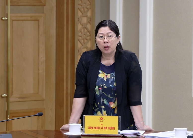 Thứ trưởng Bộ Nông nghiệp và Môi trường (NN&MT) Nguyễn Thị Phương Hoa báo cáo tại cuộc họp - Ảnh: VGP/Gia Huy