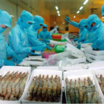 越南水产品积极巩固美国市场份额