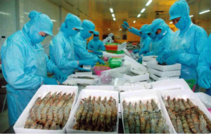 越南水产品积极巩固美国市场份额