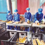 越南农产品对印度出口增长强劲