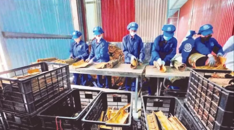 越南农产品对印度出口增长强劲