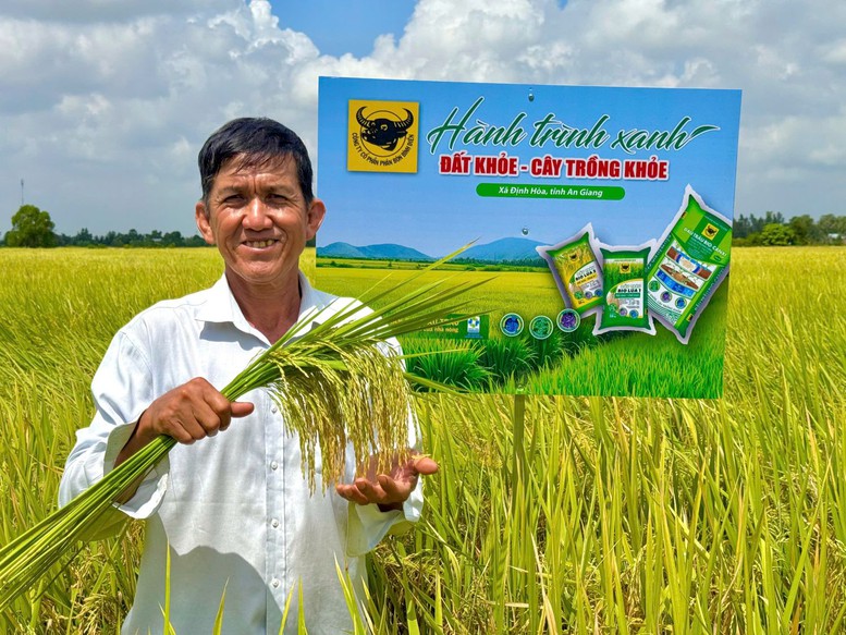 Nông dân xã Định Hòa (An Giang) phấn khởi trước ruộng lúa đạt năng suất, chất lượng cao nhờ áp dụng giải pháp canh tác đất khỏe, cây trồng khỏe - Ảnh: VGP/HTX