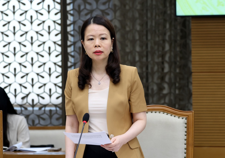 Thứ trưởng Bộ Ngoại giao Nguyễn Minh Hằng phát biểu tại cuộc họp - Ảnh: VGP/Đức Tuân