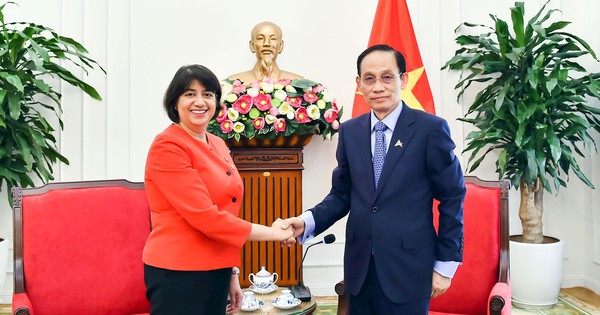 越英力争2026年双边贸易额达100亿美元