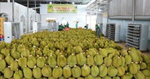 2026年前5个月越南农林水产品出口300多亿美元