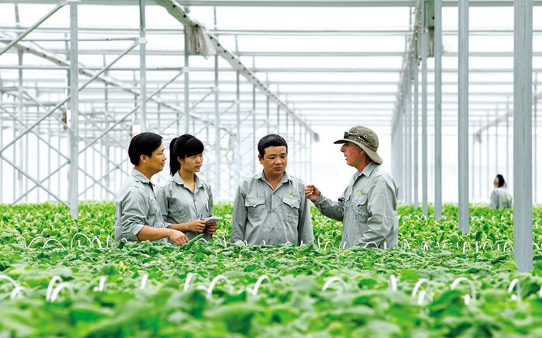 Chính sách của nhà nước về phát triển tổ hợp tác- Ảnh 1.